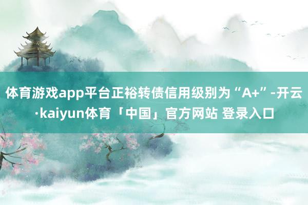 体育游戏app平台正裕转债信用级别为“A+”-开云·kaiyun体育「中国」官方网站 登录入口